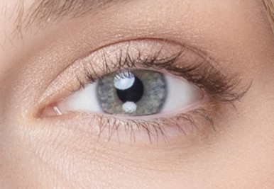 Mata dekat dengan bulu mata pendek