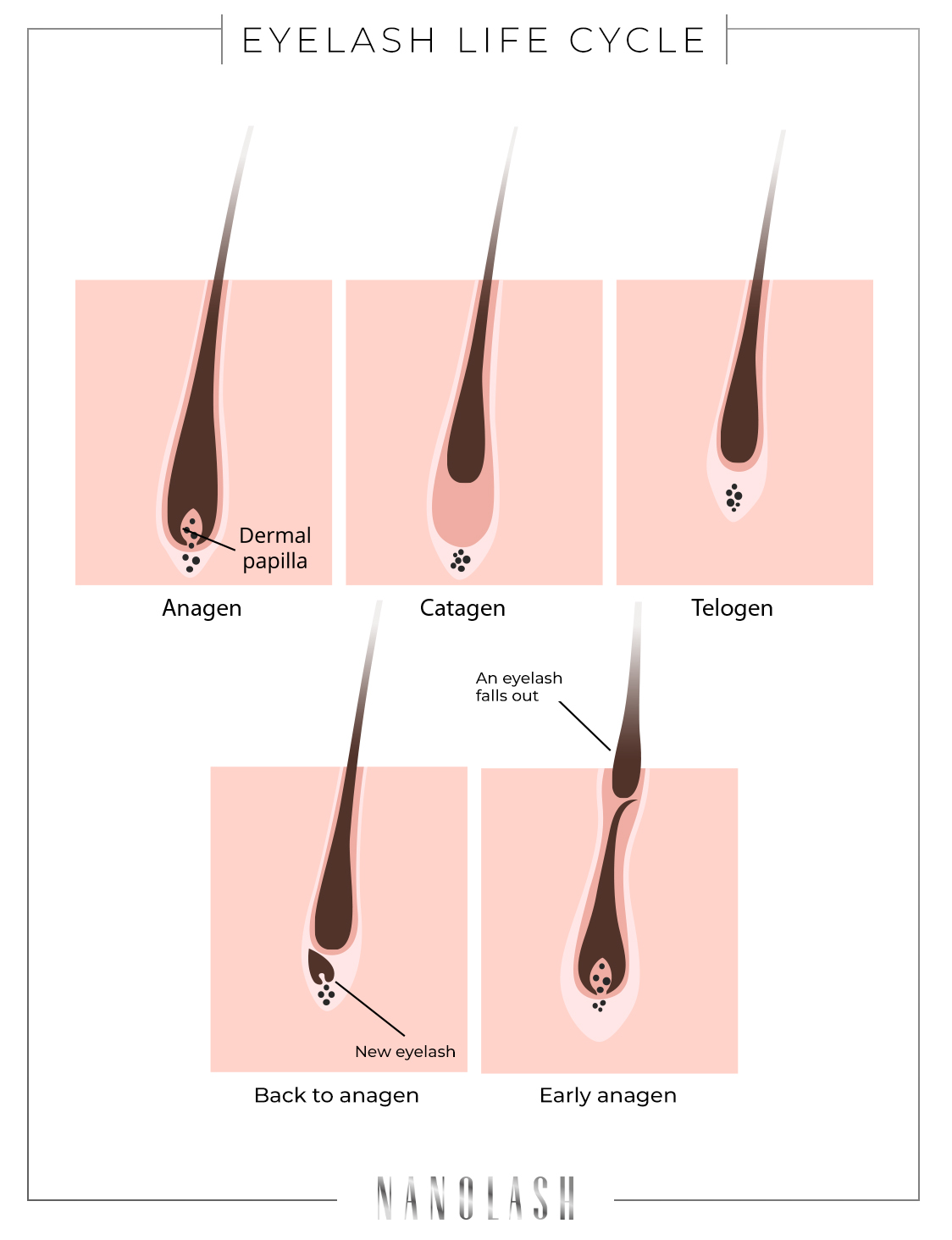 What Are Lashes Made Out Of?